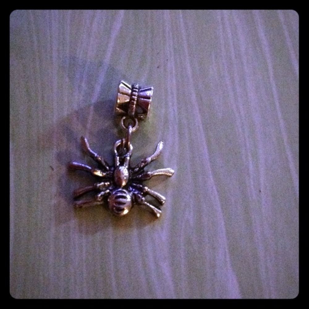 Spider charm fit pandora bracelet